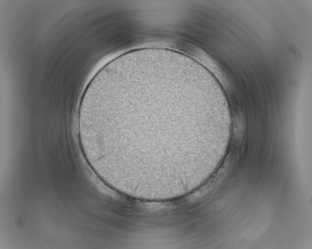 X0000111221436200908131051