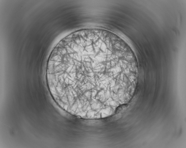 X0000111221437200908131051