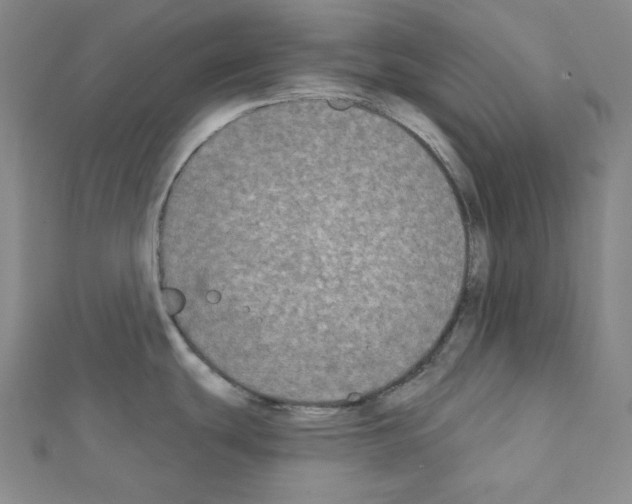 X0000111221439200908131051