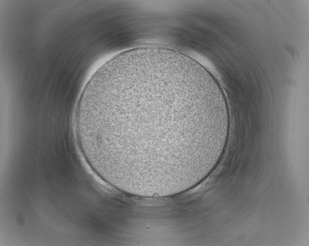 X0000111221440200908131051