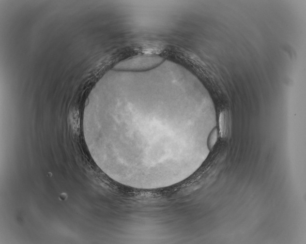 X0000111221443200908131051