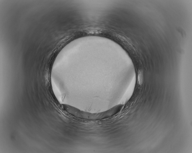 X0000111221444200908131051