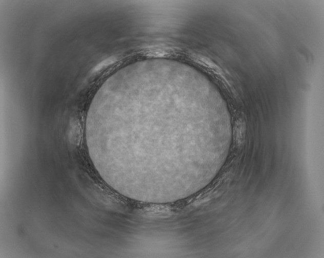 X0000111221446200908131050