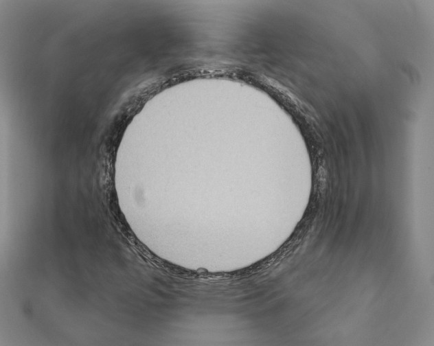 X0000111221447200908131050