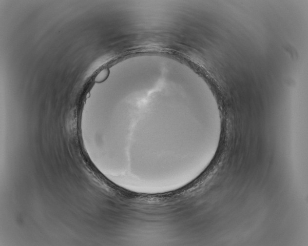 X0000111221450200908131050