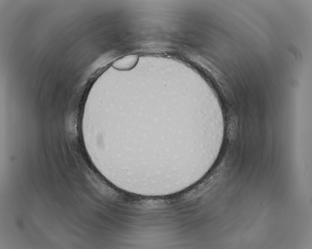 X0000111221451200908131050