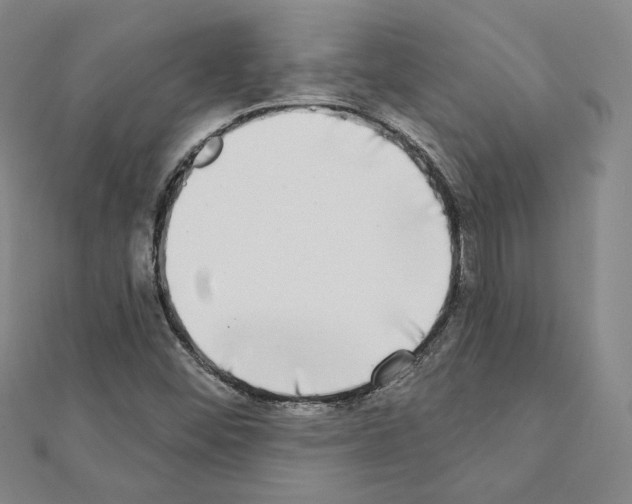 X0000111221452200908131050
