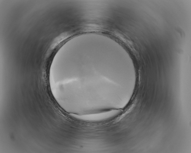 X0000111221453200908131050