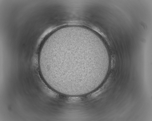 X0000111221454200908131050