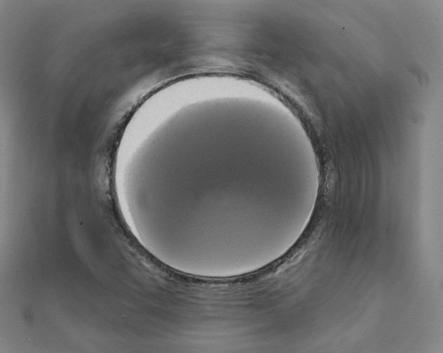 X0000111221455200908131050