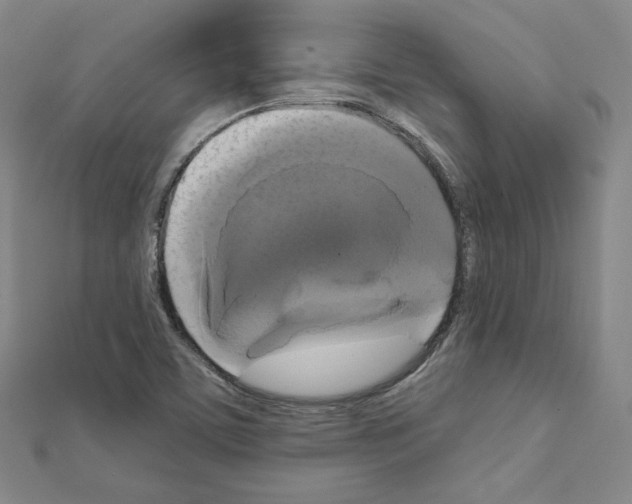 X0000111221459200908131050