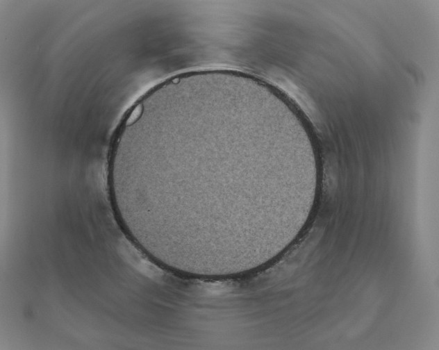 X0000111221460200908131050
