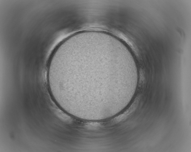 X0000111221462200908131050