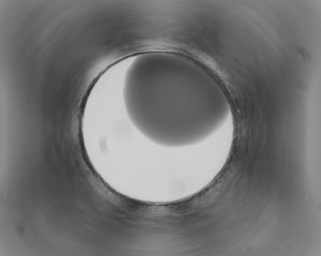 X0000111221463200908131050