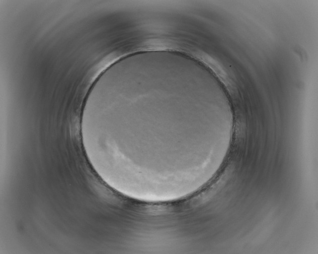 X0000111221465200908131050