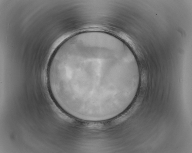 X0000111221466200908131050