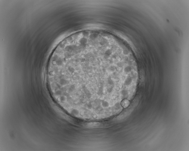 X0000111221467200908131050