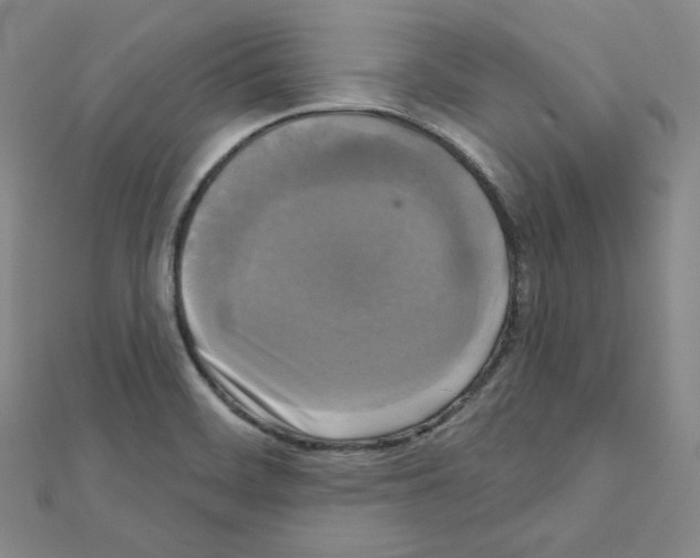 X0000111221468200908131050