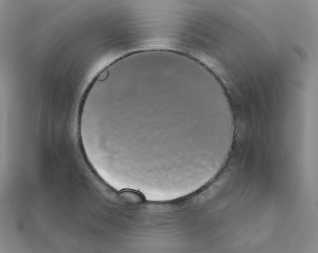 X0000111221469200908131050
