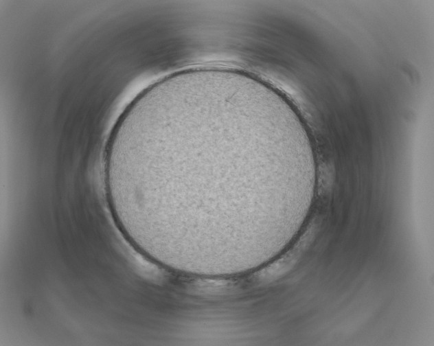 X0000111221470200908131050
