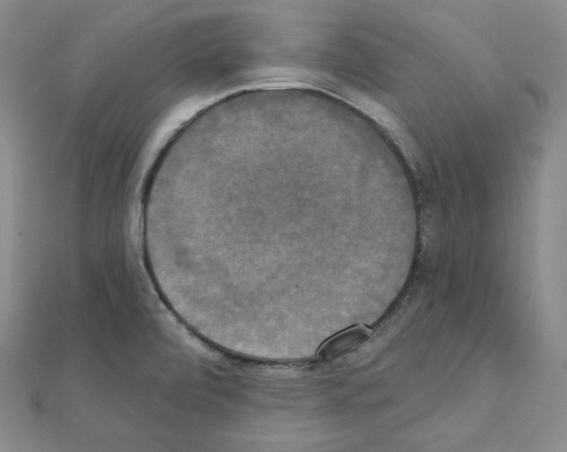X0000111221472200908131050