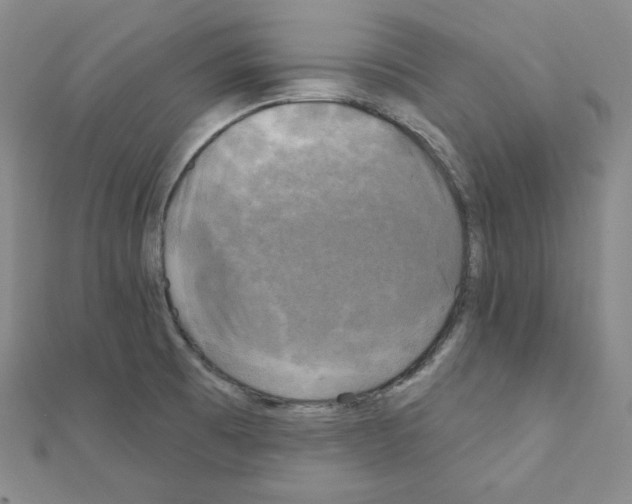 X0000111221473200908131050