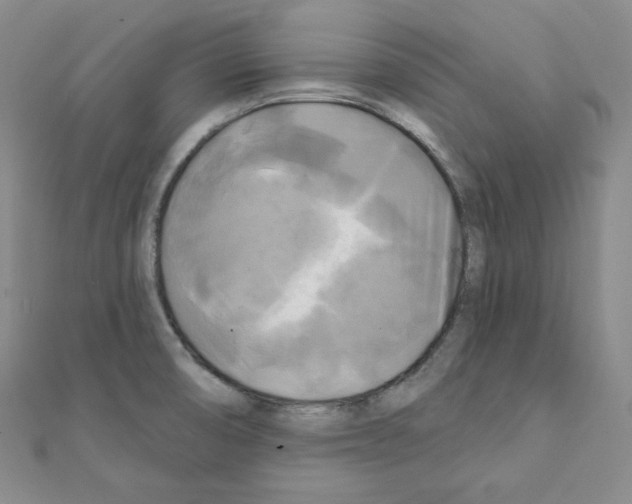 X0000111221474200908131050