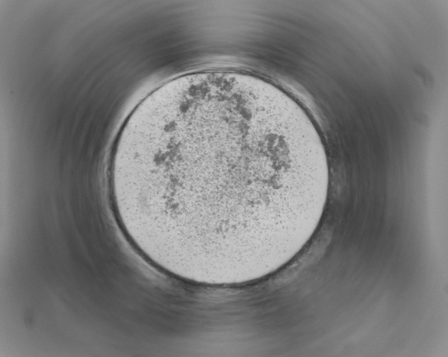 X0000111221475200908131050