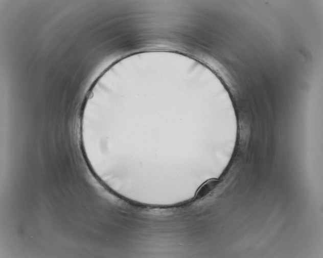 X0000111221476200908131050