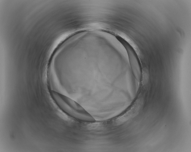 X0000111221477200908131050
