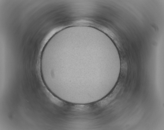 X0000111221478200908131050