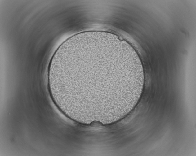X0000111221479200908131050