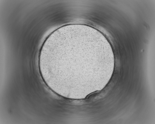 X0000111221480200908131050