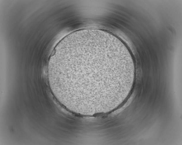 X0000111221481200908131050