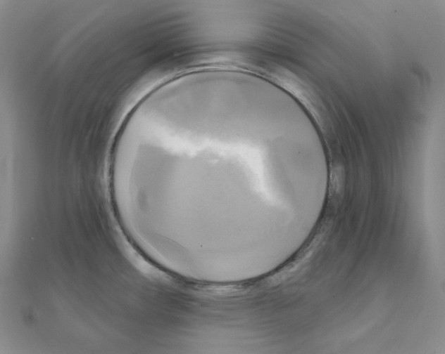 X0000111221482200908131050