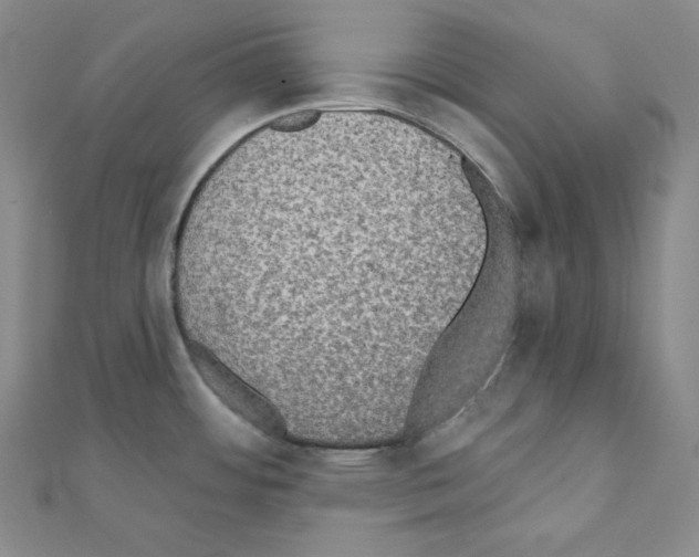 X0000111221484200908131050