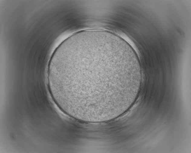 X0000111221485200908131050