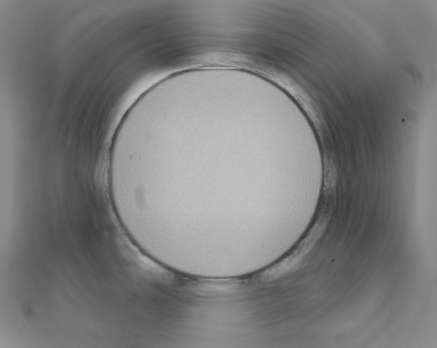 X0000111221486200908131050