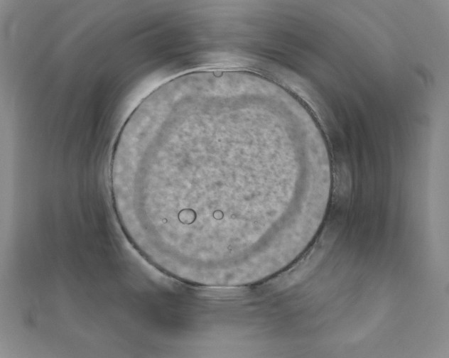 X0000111221487200908131050