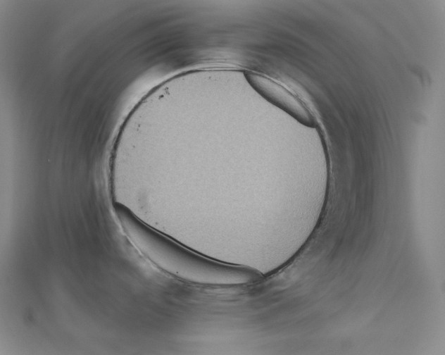 X0000111221488200908131050