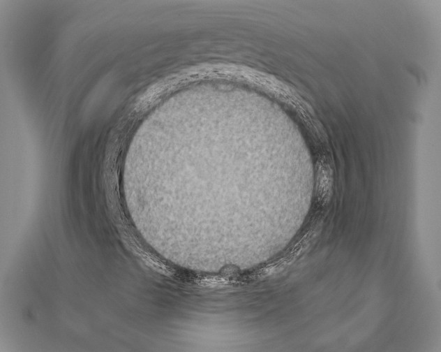 X0000111221489200908131049