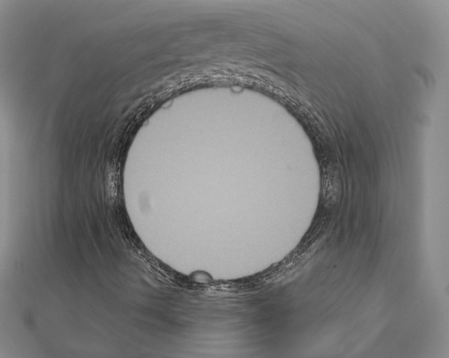 X0000111221490200908131049