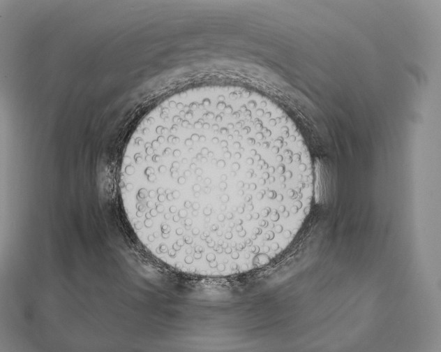 X0000111221491200908131049