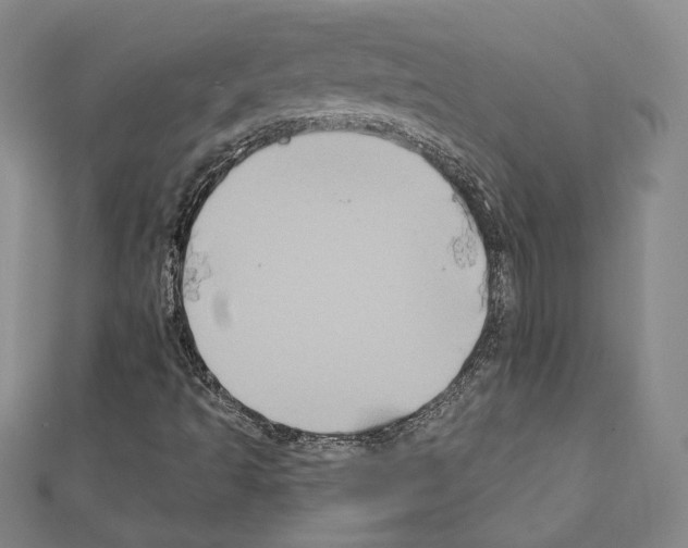 X0000111221493200908131049