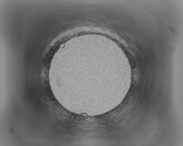 X0000111221495200908131049