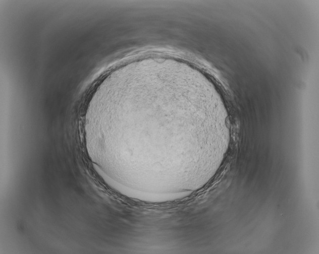 X0000111221496200908131049