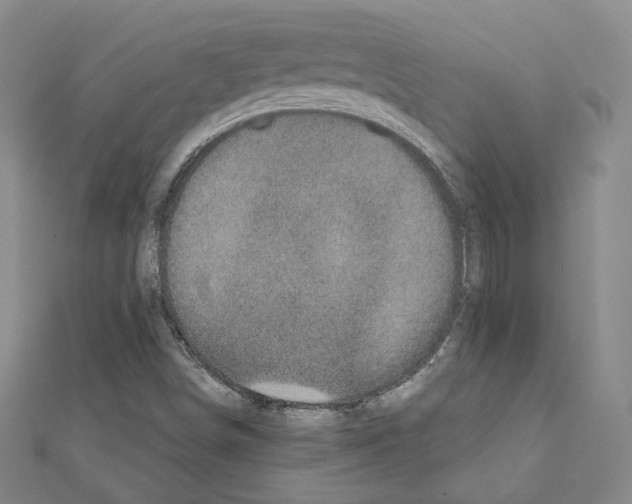 X0000111221498200908131049