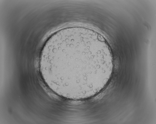 X0000111221499200908131049