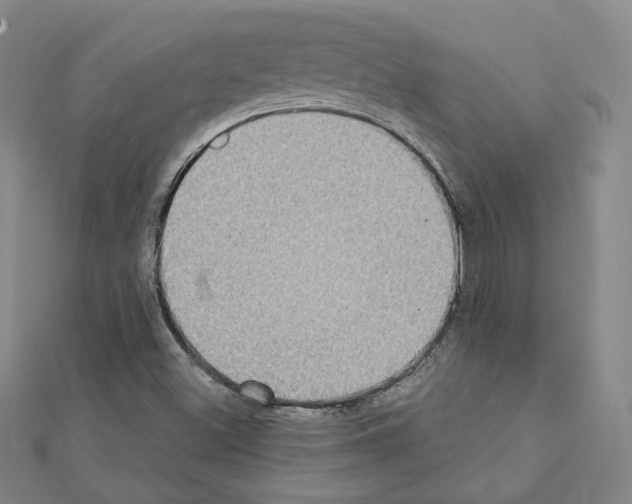X0000111221500200908131049