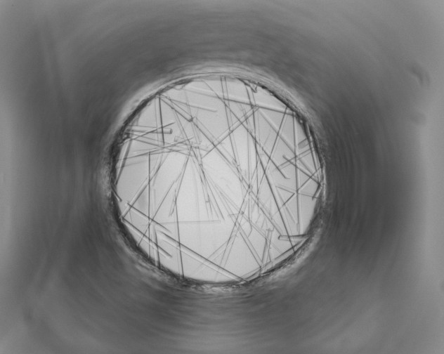 X0000111221501200908131050